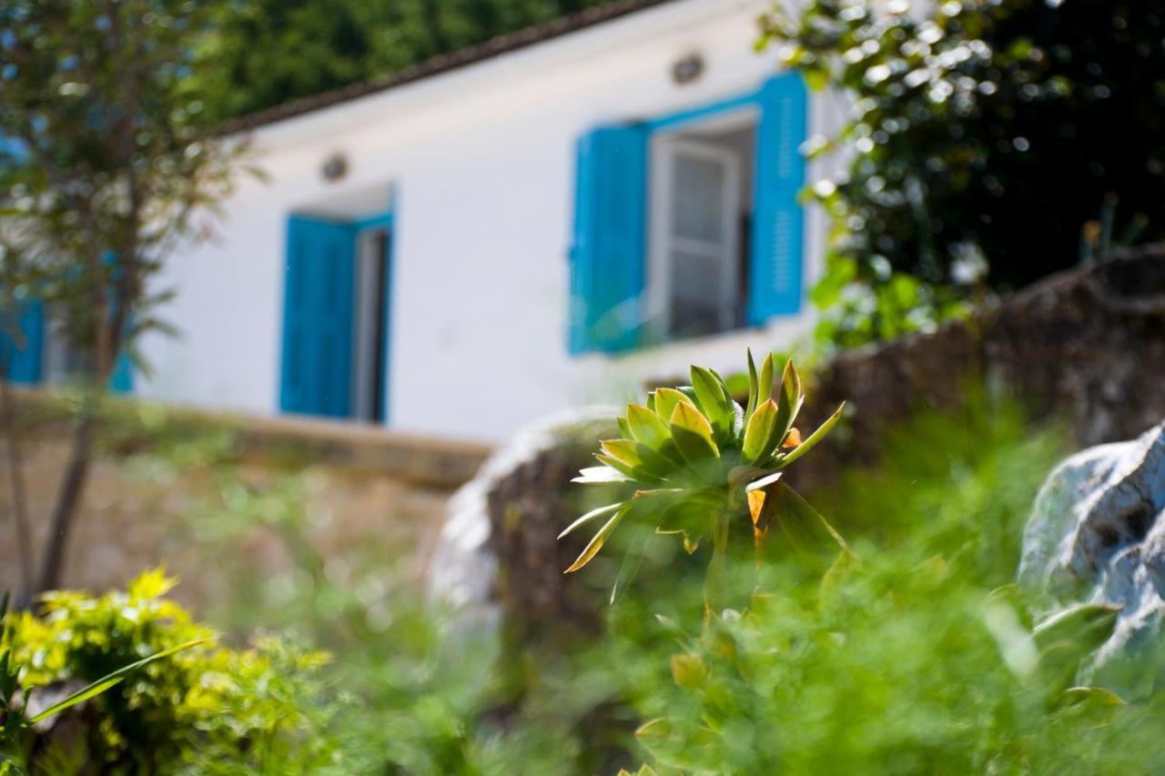 The Olive Cottage - Ithaca Vathy  Exterior photo