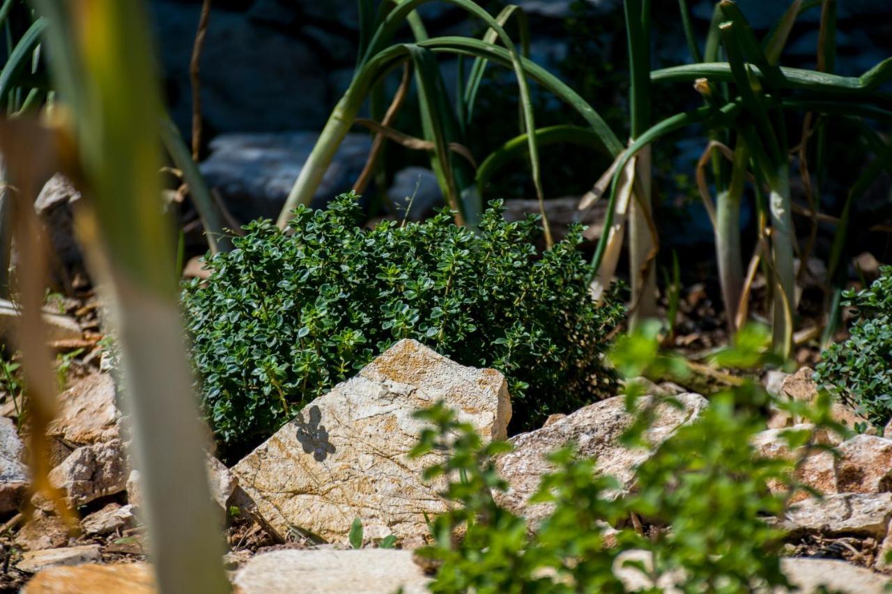 The Olive Cottage - Ithaca Vathy  Exterior photo